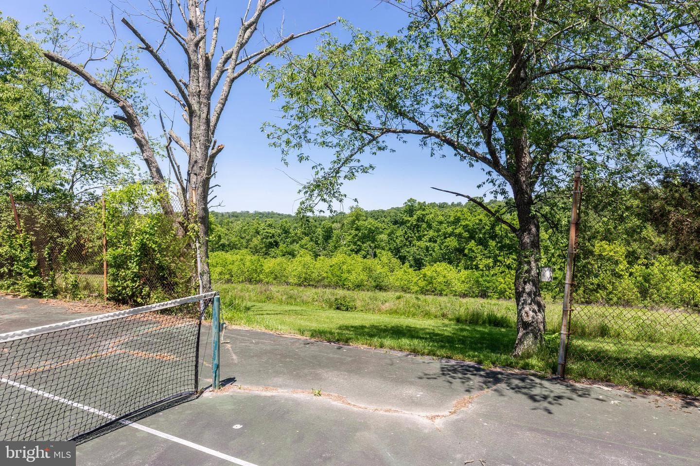 3822 Wine Road photo 90