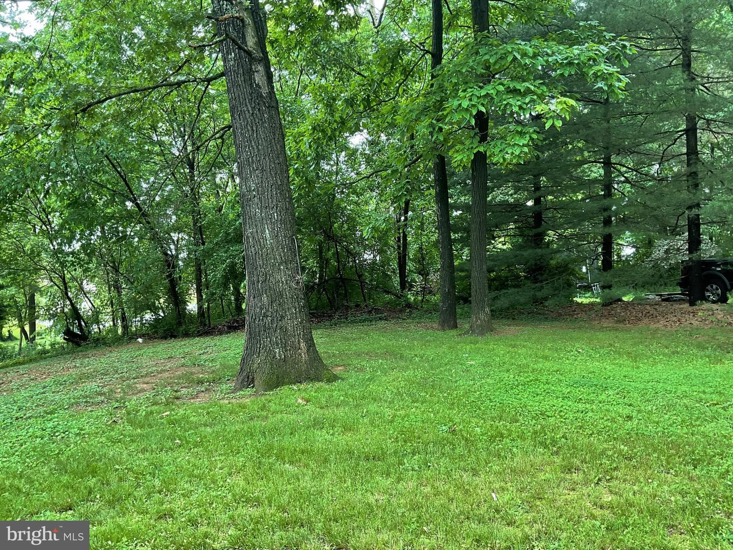 2425 Clydesdale Road photo 4