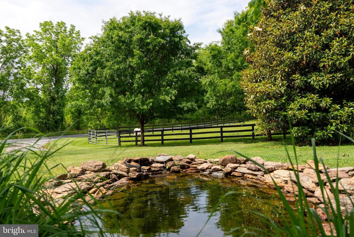 2810 Hoffman Mill Road photo 44