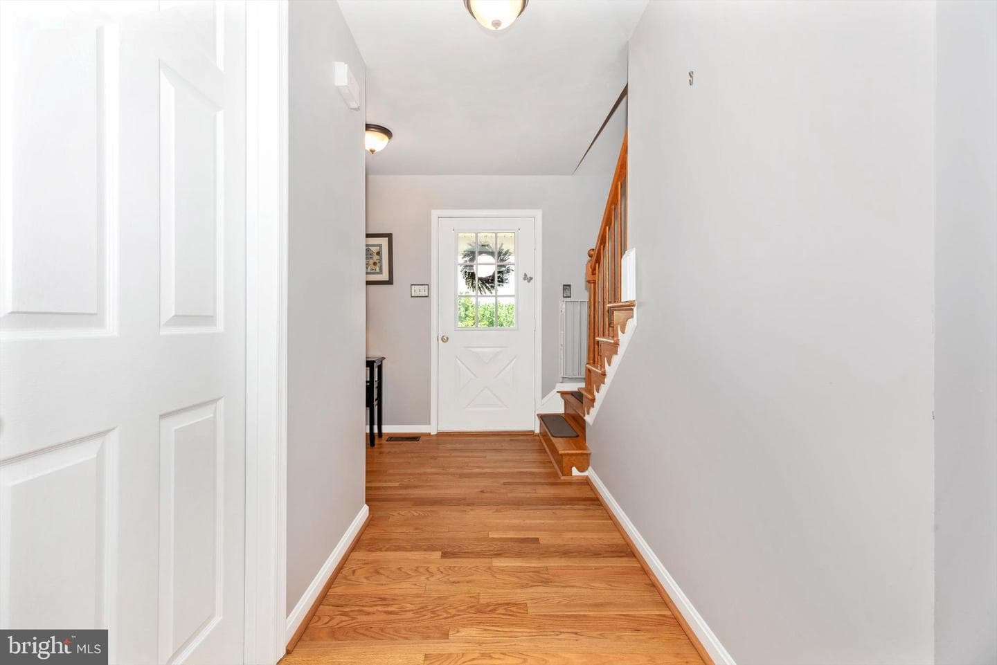 1109 Mint Terrace photo 15