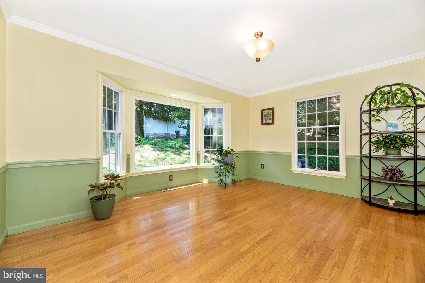 1109 Mint Terrace photo 18