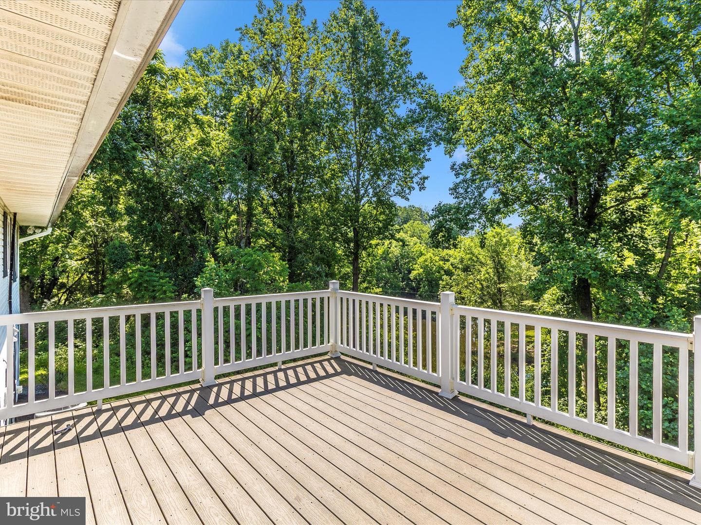 4431 Cherry Tree Lane photo 34