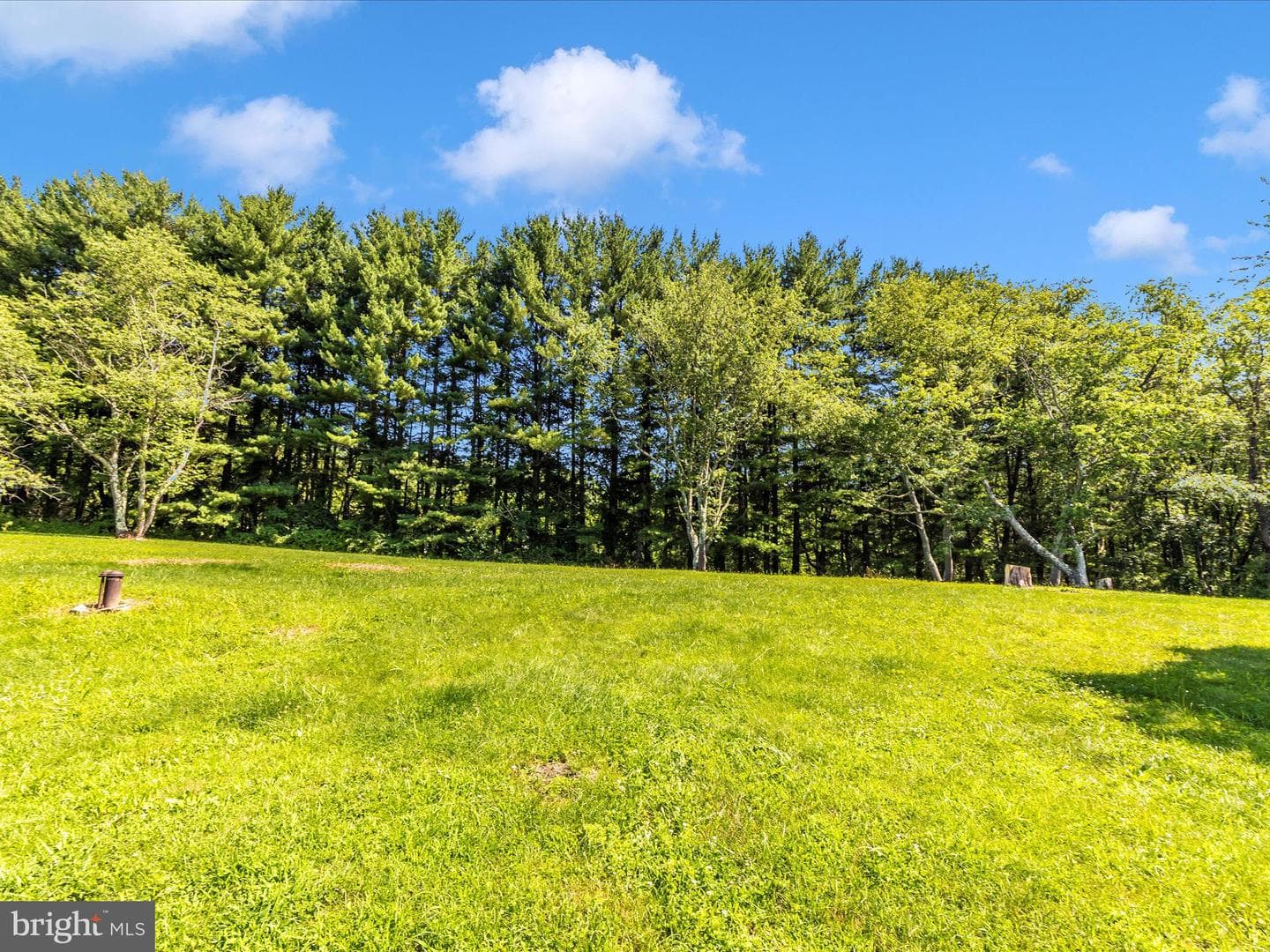 4431 Cherry Tree Lane photo 44