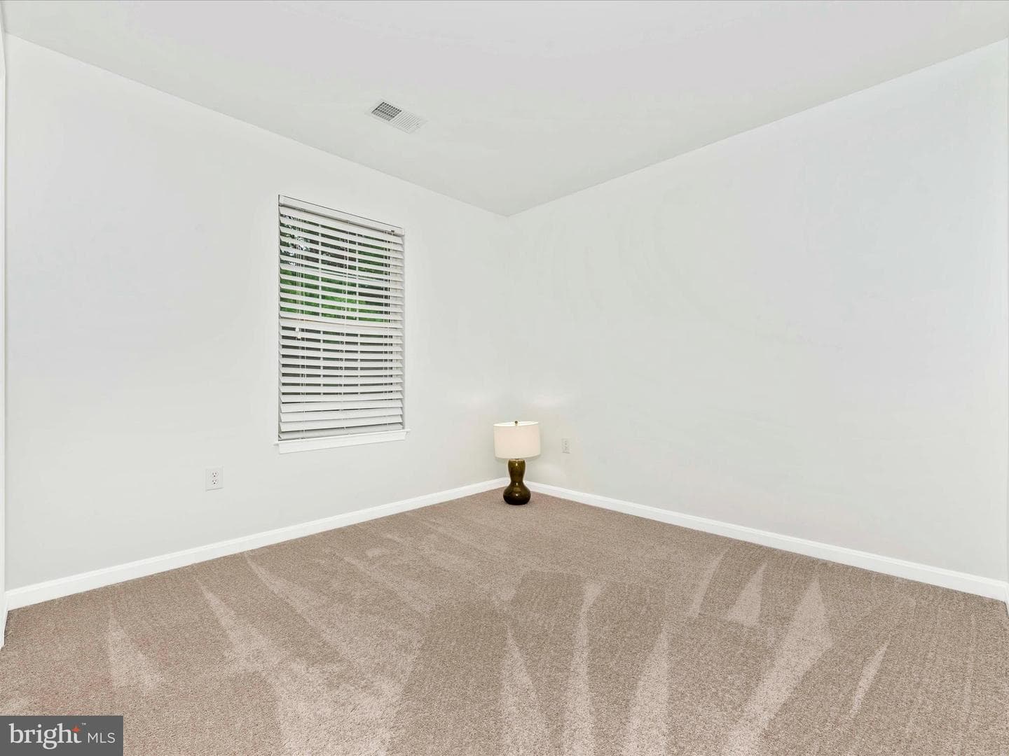 3931 Brittany Lane photo 30