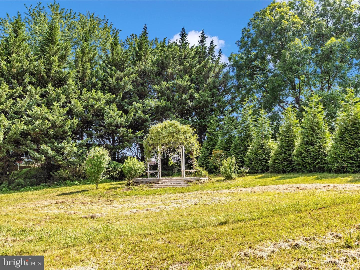7307 Woodbine Road photo 54