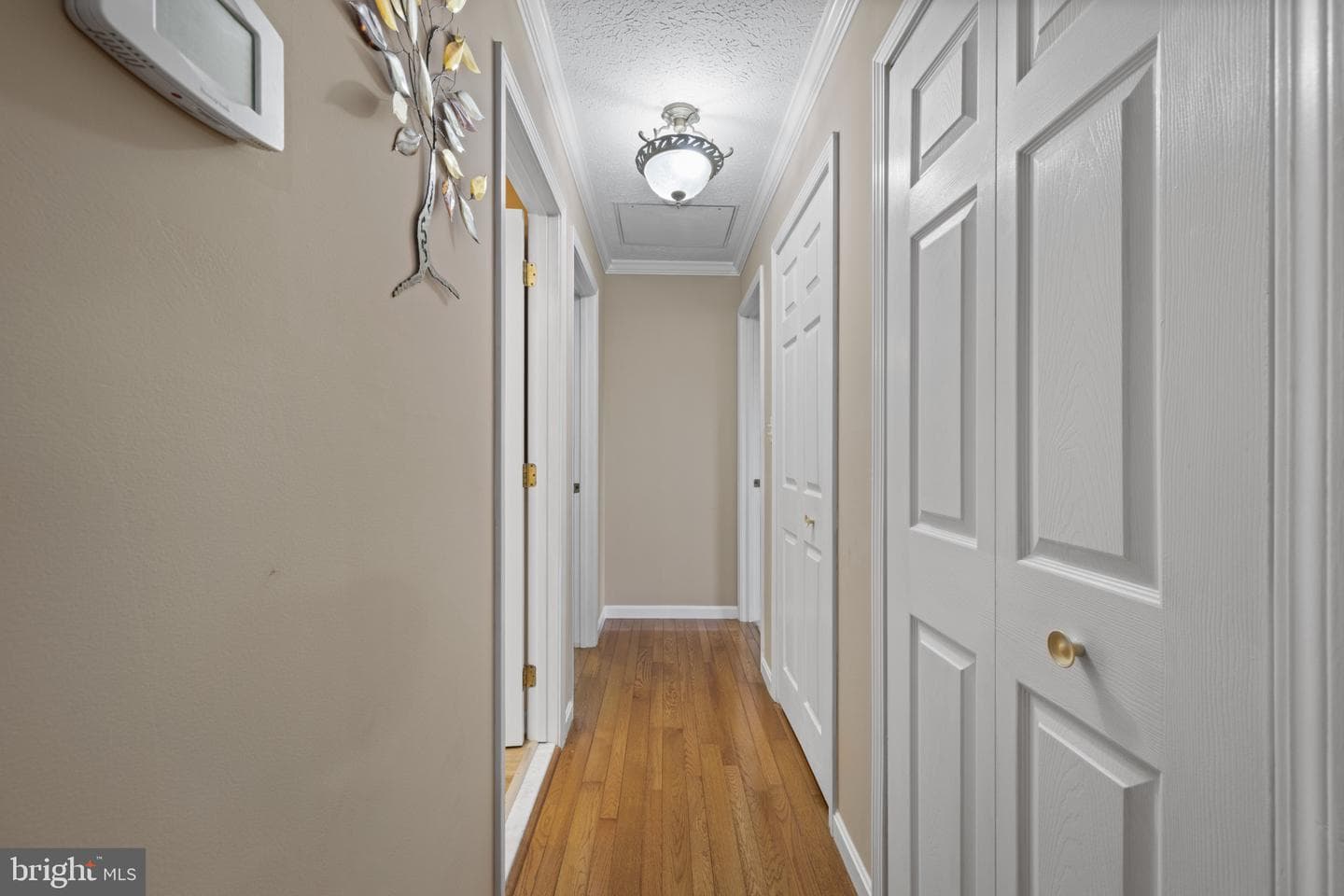 6 Tiffany Court photo 18