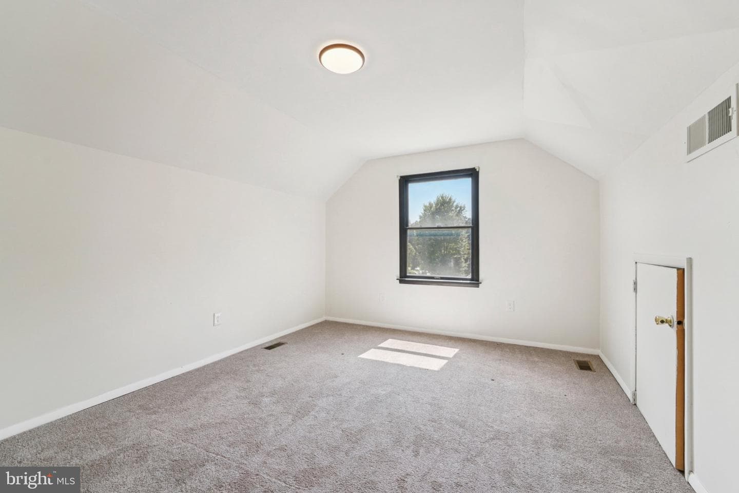 7258 Pommel Drive photo 21