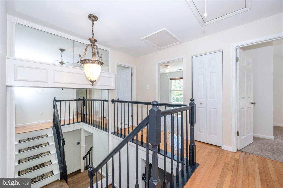 6301 White Cedar Court photo 24