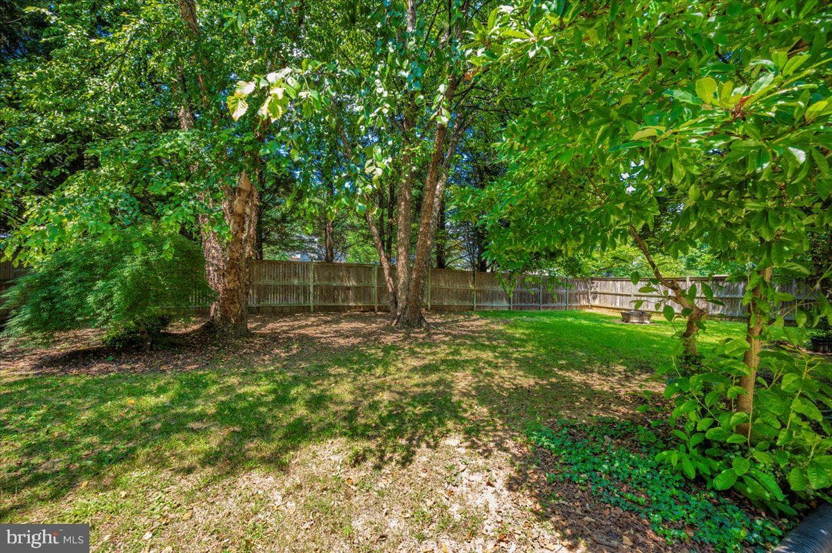 6301 White Cedar Court photo 60