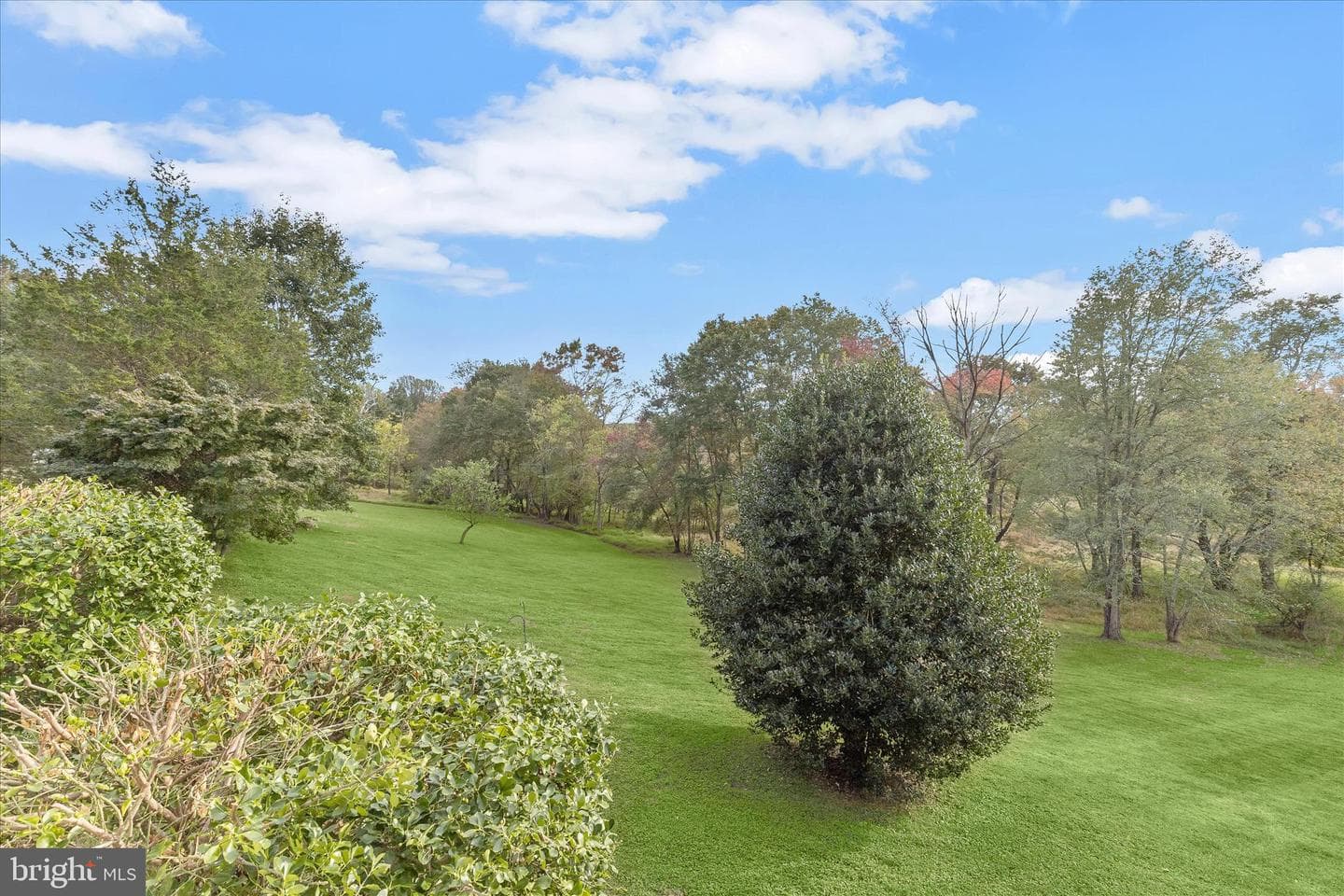 5722 Banjo Drive photo 75