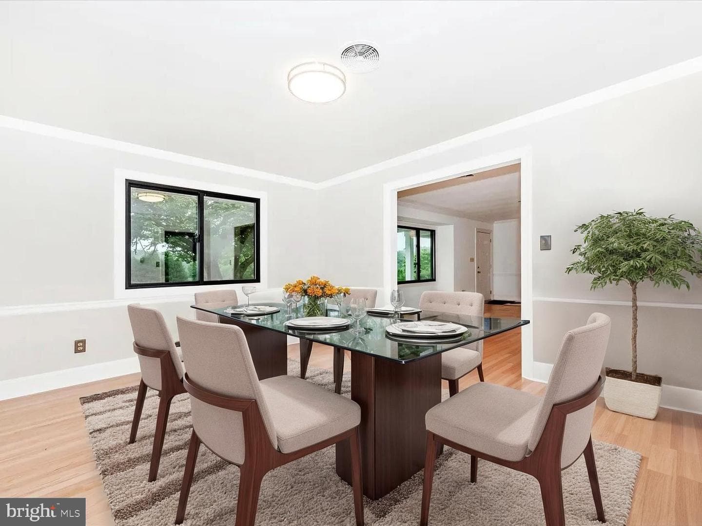 3523 Oxwed Court photo 11
