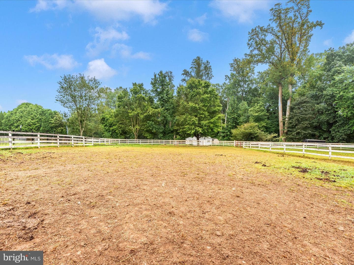 3523 Oxwed Court photo 51