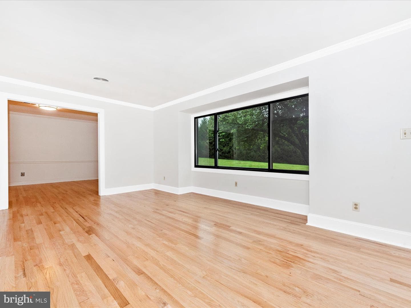3523 Oxwed Court photo 7