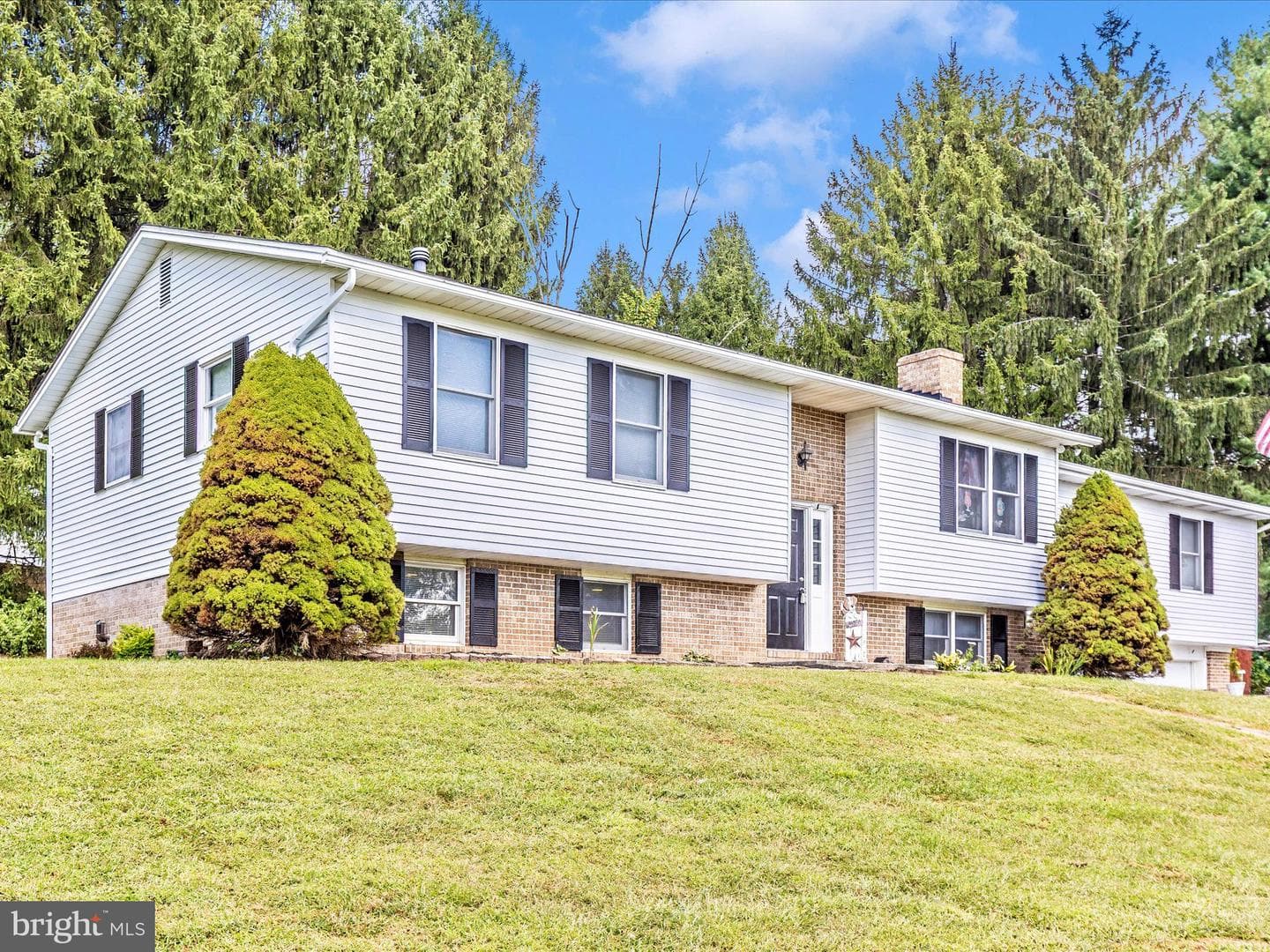 3526 Ellen Drive photo 2