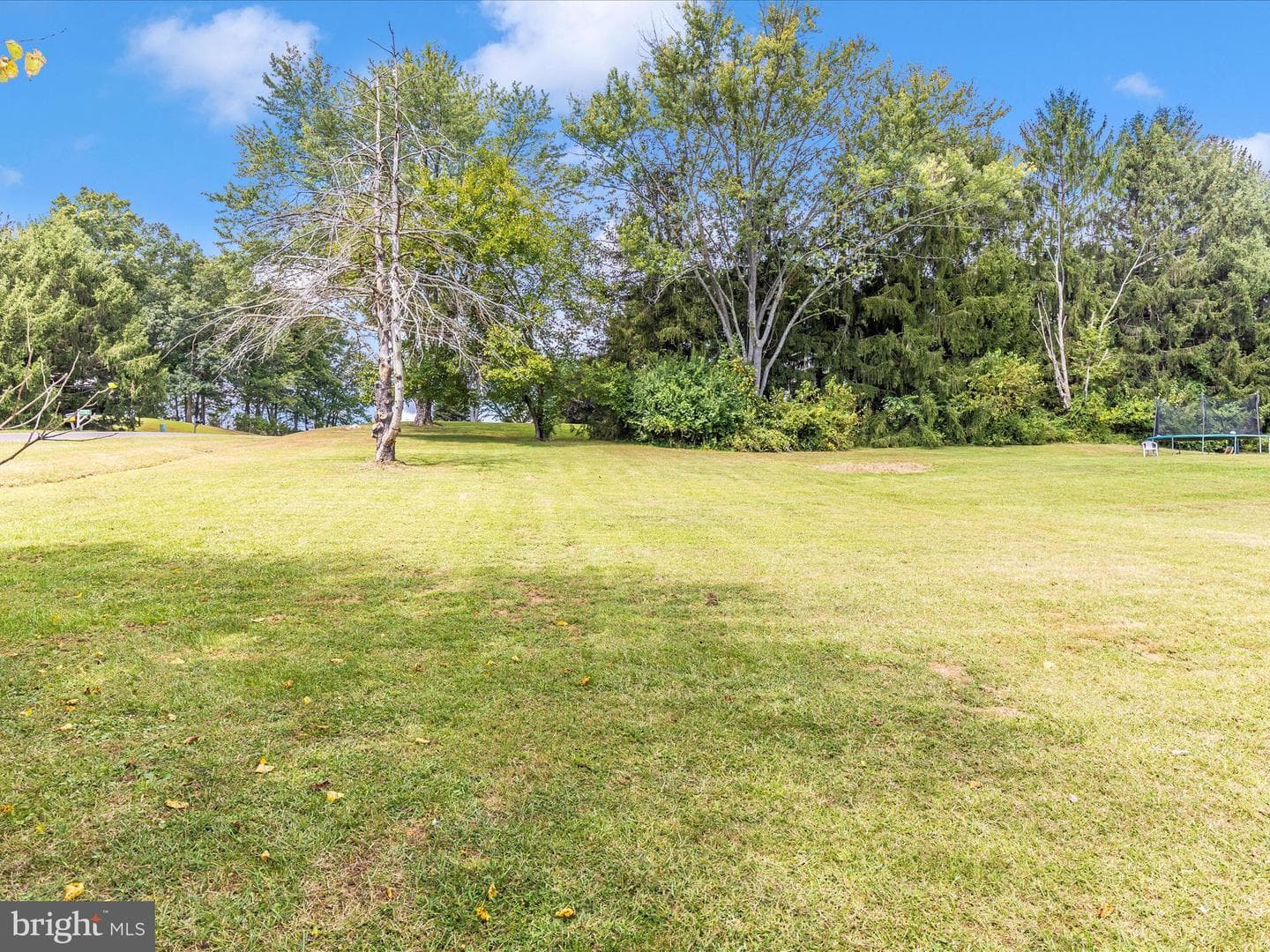 3526 Ellen Drive photo 51