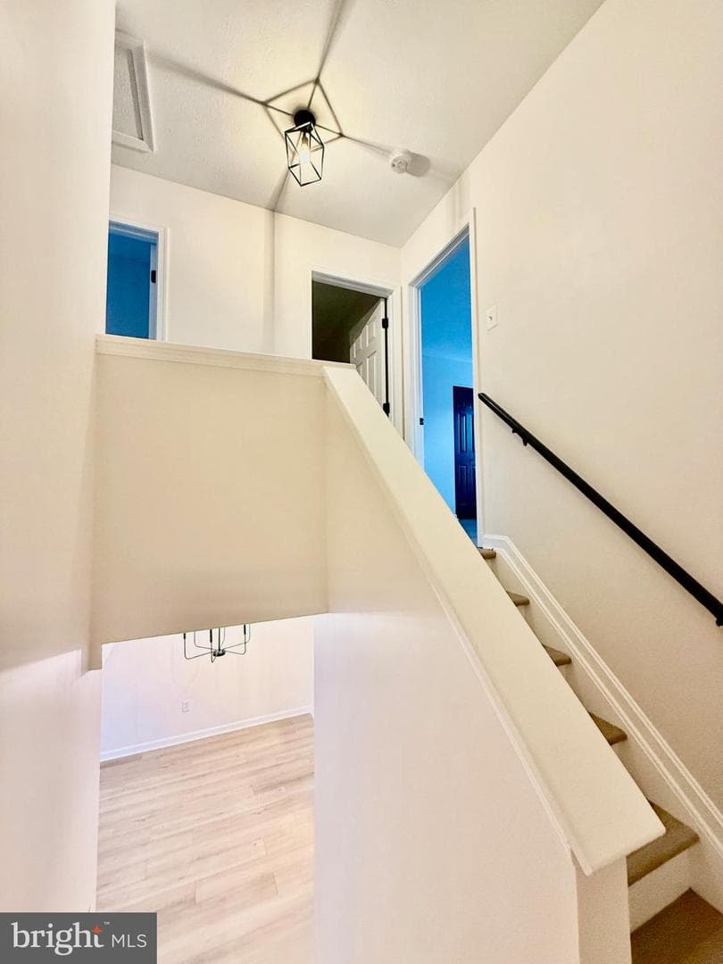 507 Crossbridge Drive photo 15