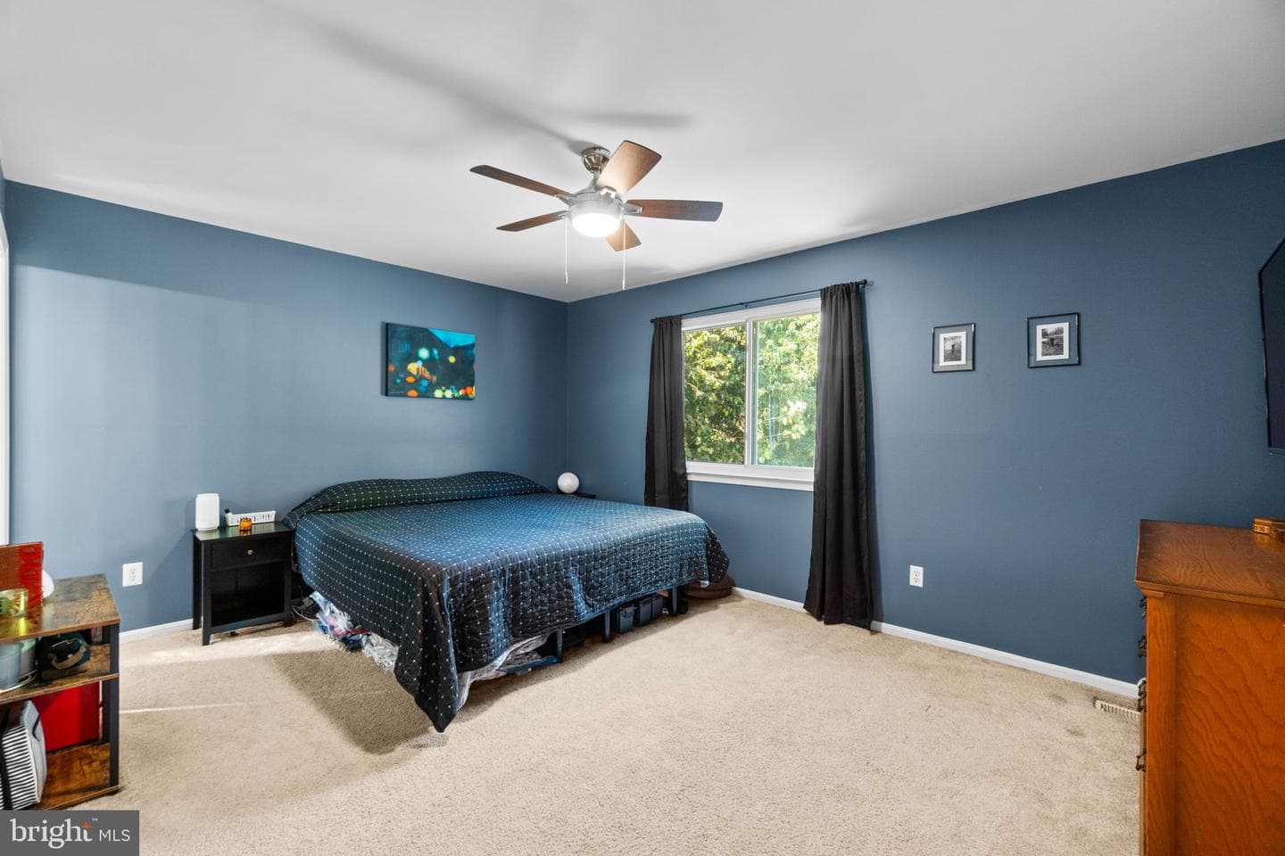 6397 Red Spruce Lane photo 22