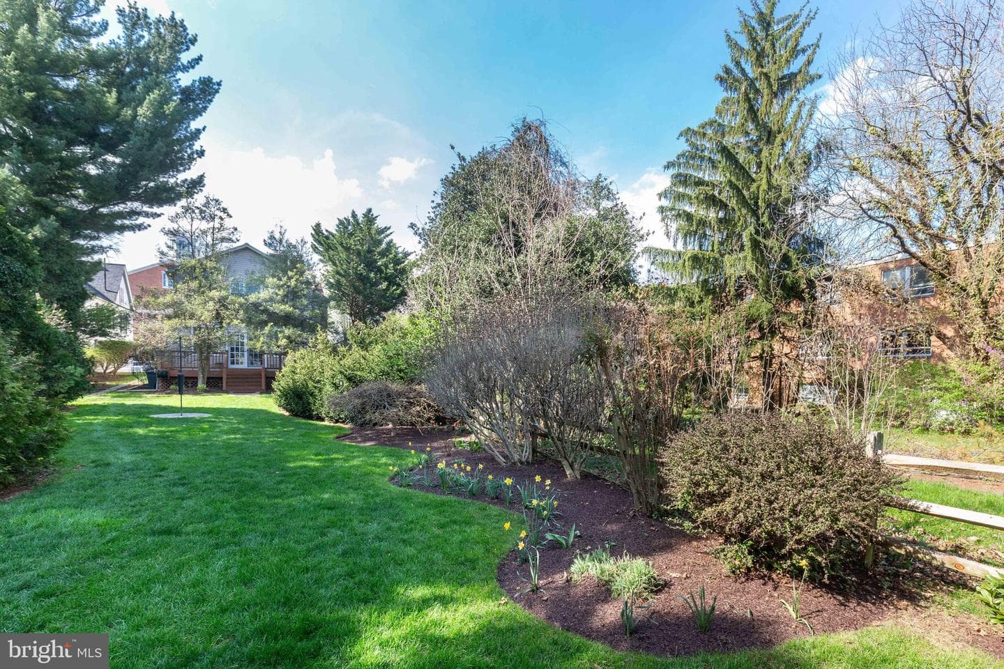 49 N Court Street photo 8