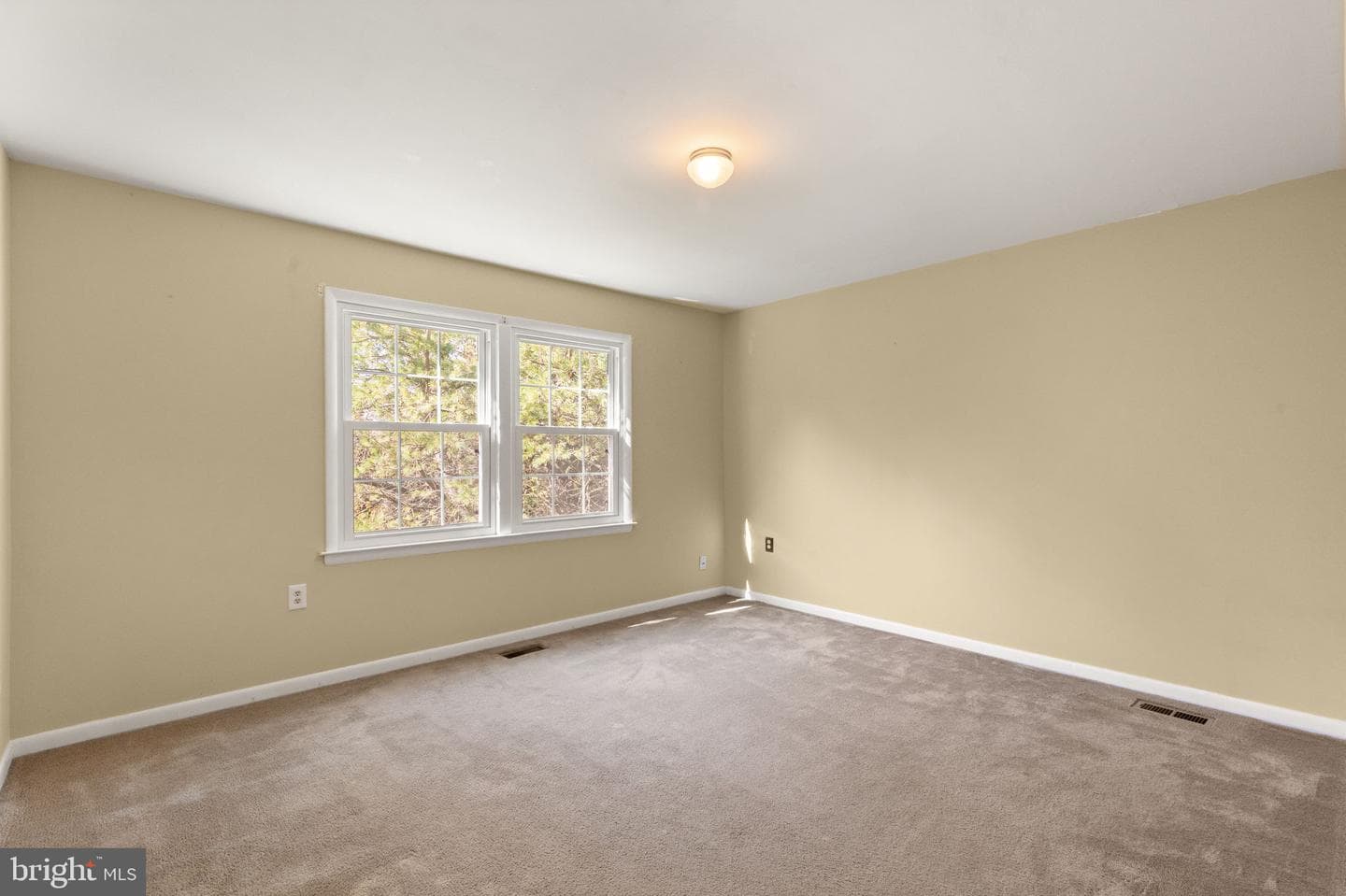 934 Winchester Drive photo 23