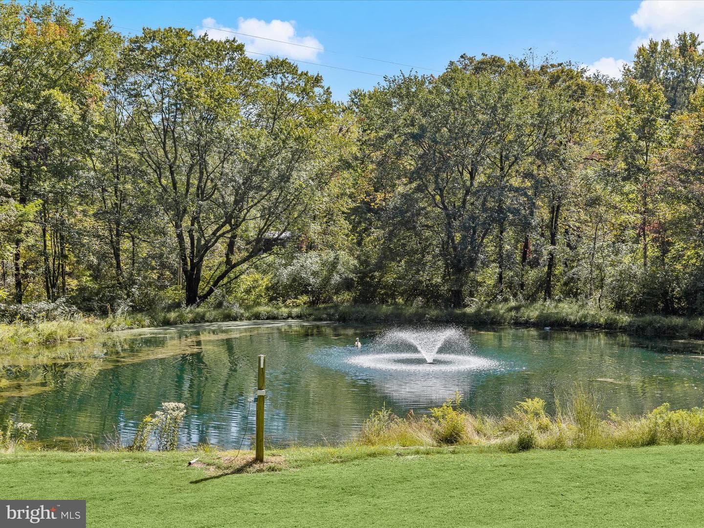 6270 Davis Road photo 33