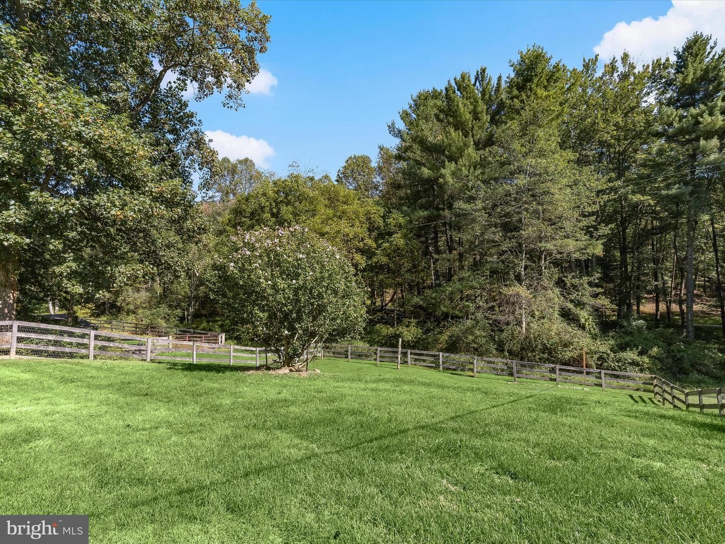 6270 Davis Road photo 40