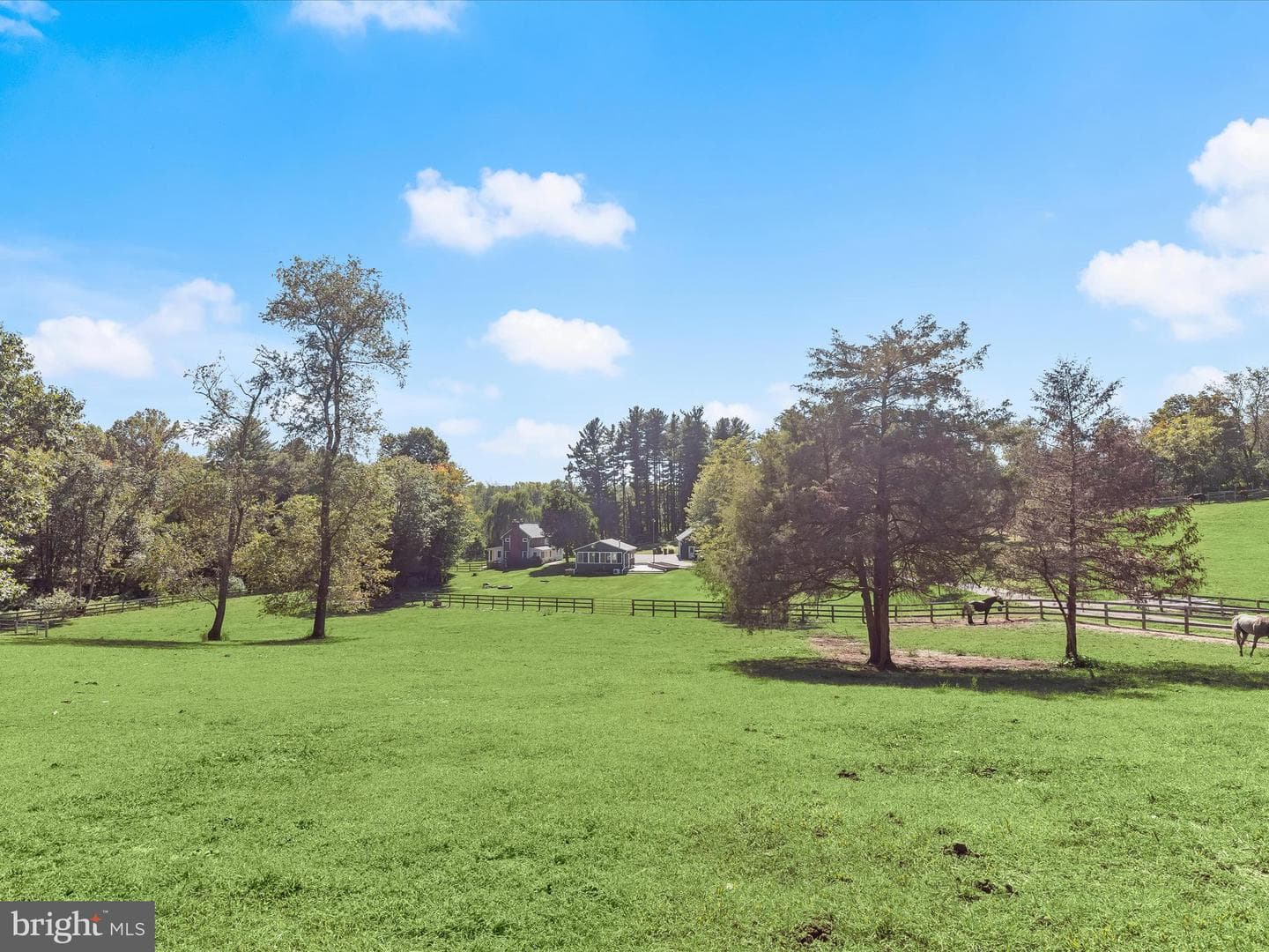 6270 Davis Road photo 60