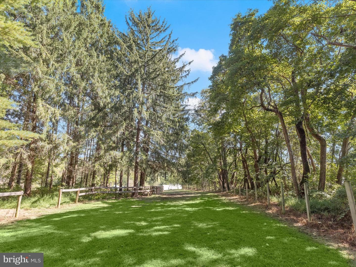 6270 Davis Road photo 70