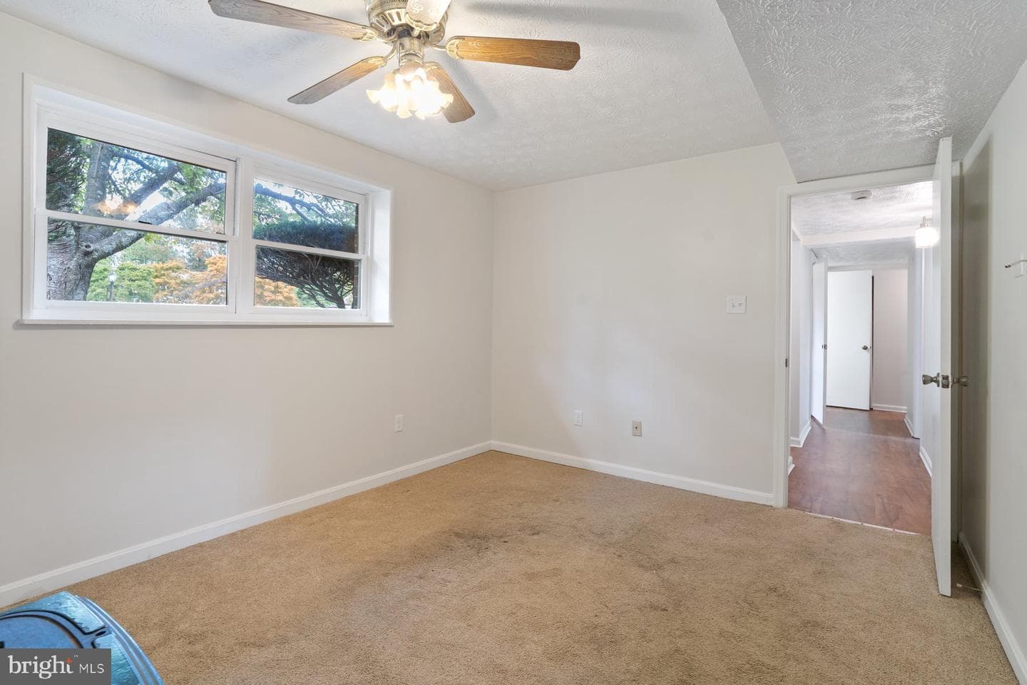 2913 Tulip Way photo 16