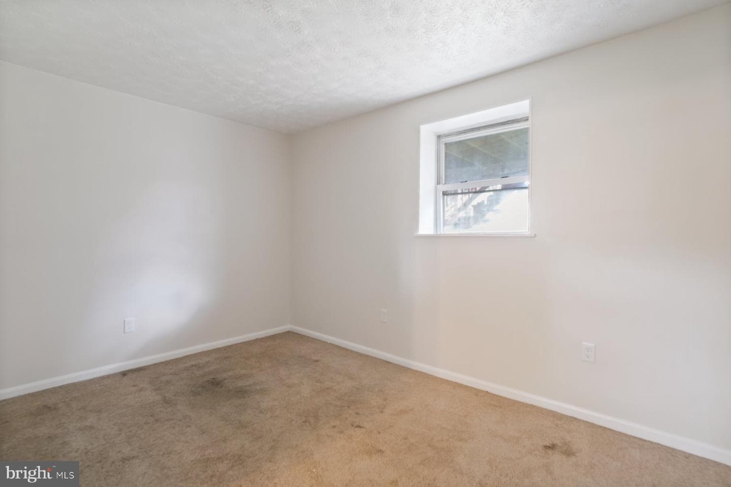 2913 Tulip Way photo 18