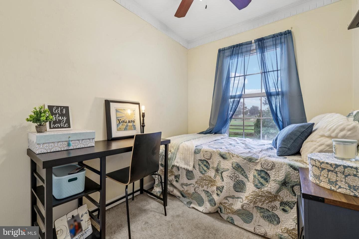 6565 Macbeth Way photo 18