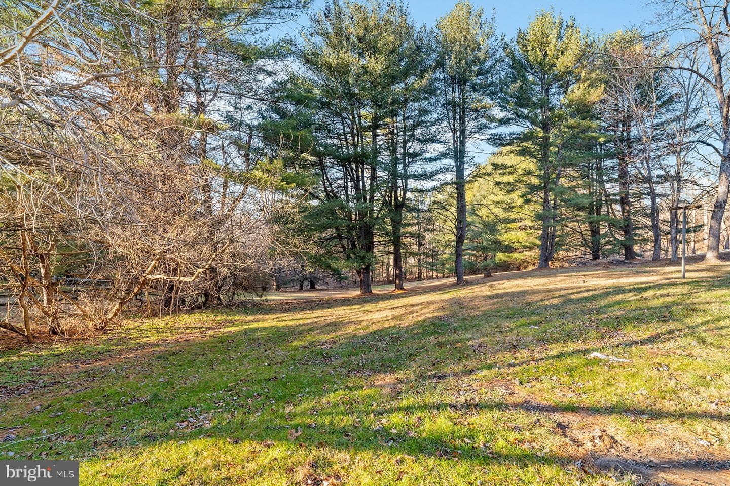 2708 Wildorlyn Drive photo 5