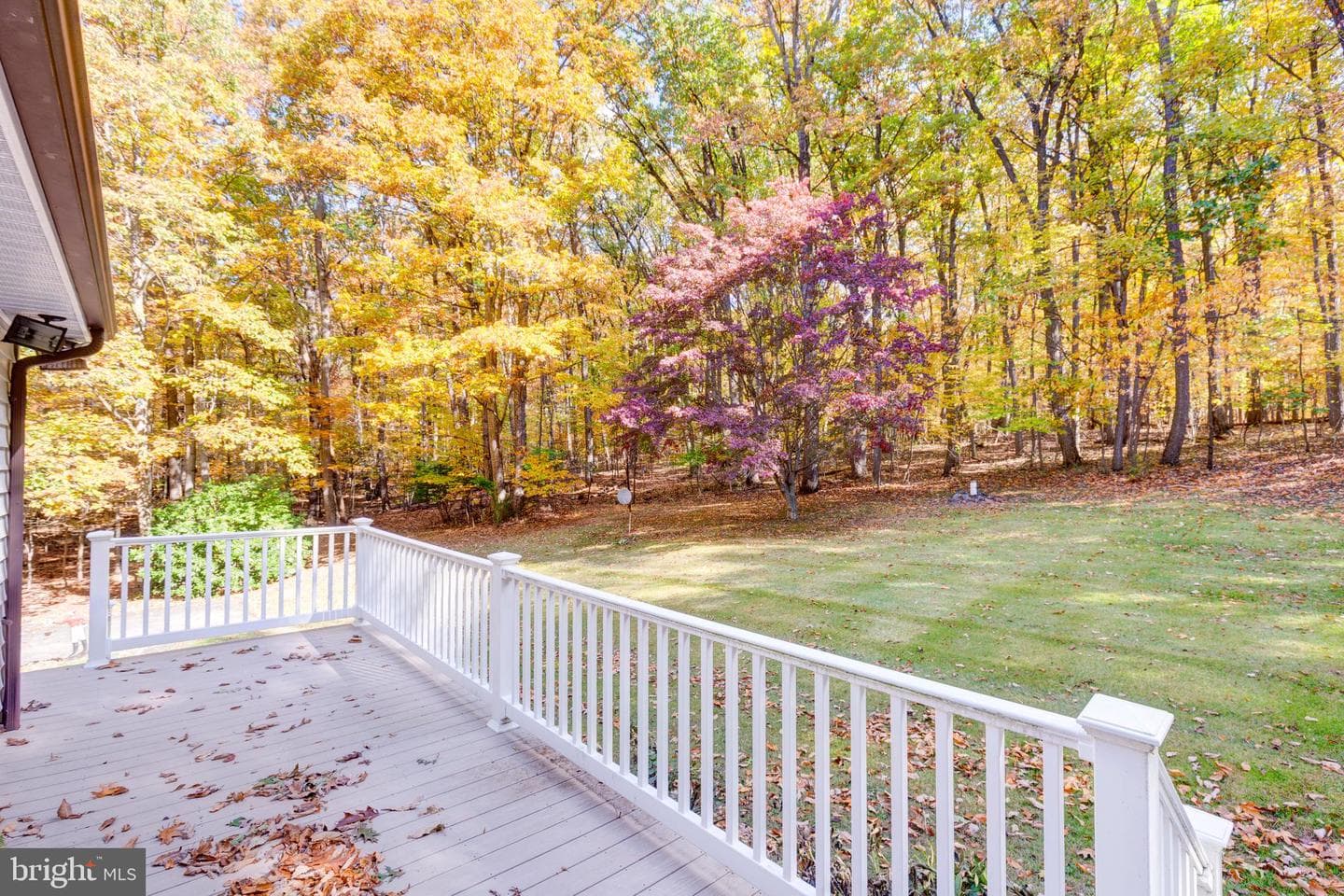 3870 Roop Road photo 55