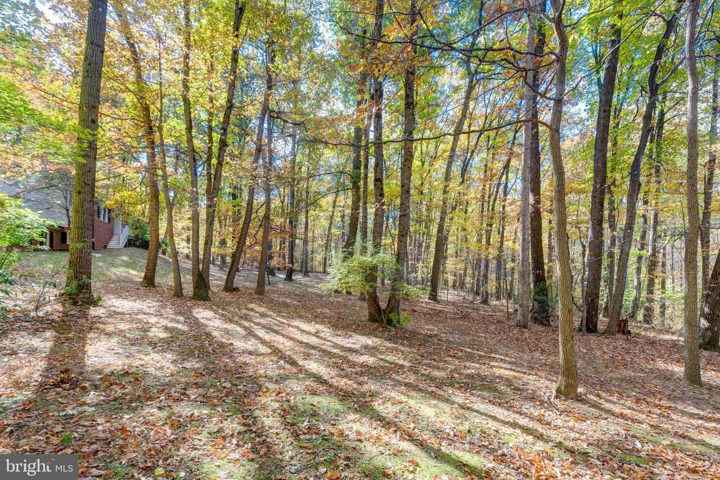3870 Roop Road photo 59