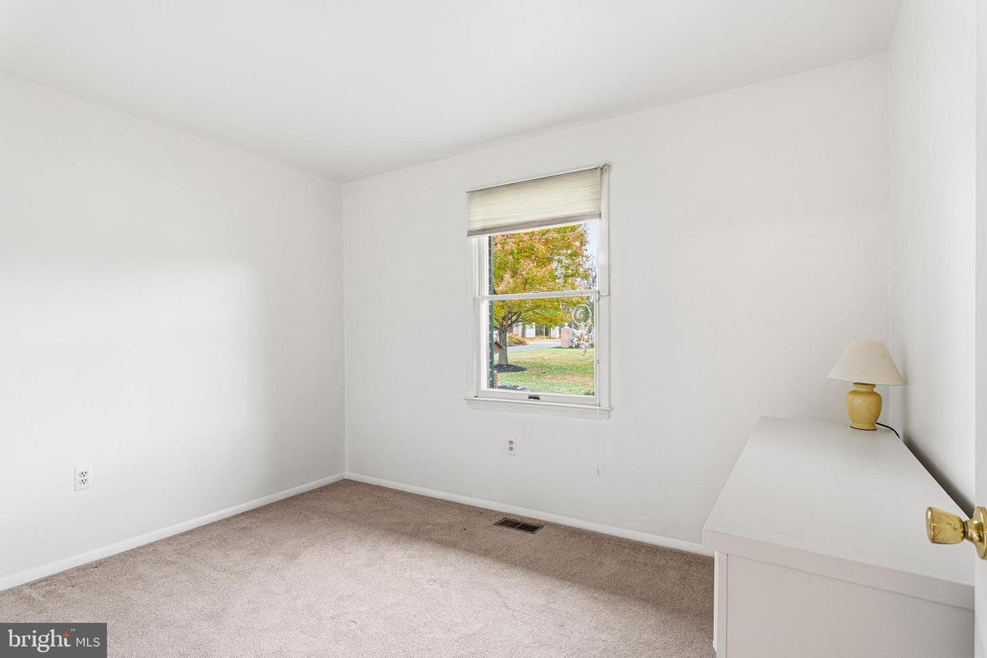 4145 London Bridge Road photo 21