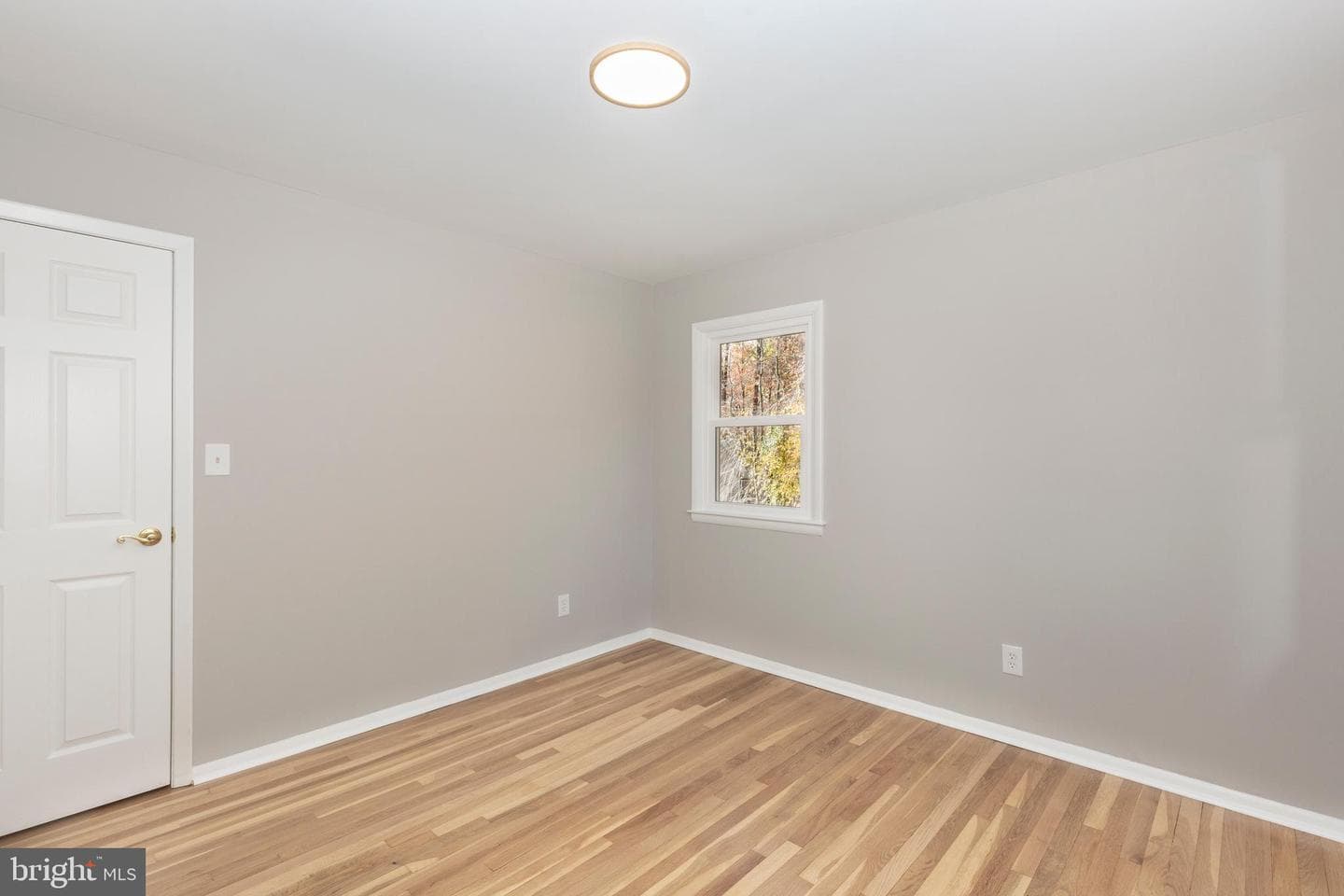 6504 Donnegal Way photo 42