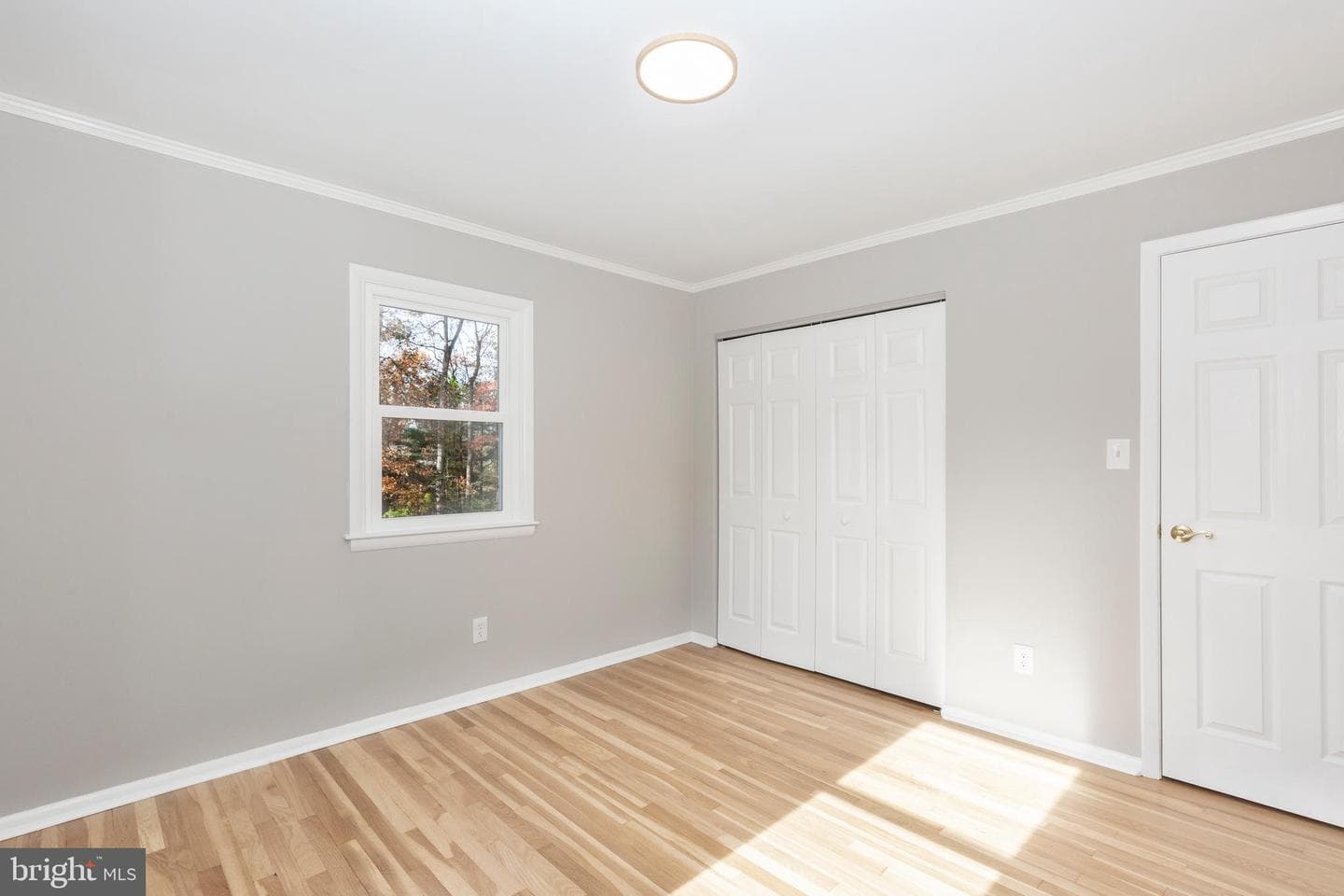 6504 Donnegal Way photo 47