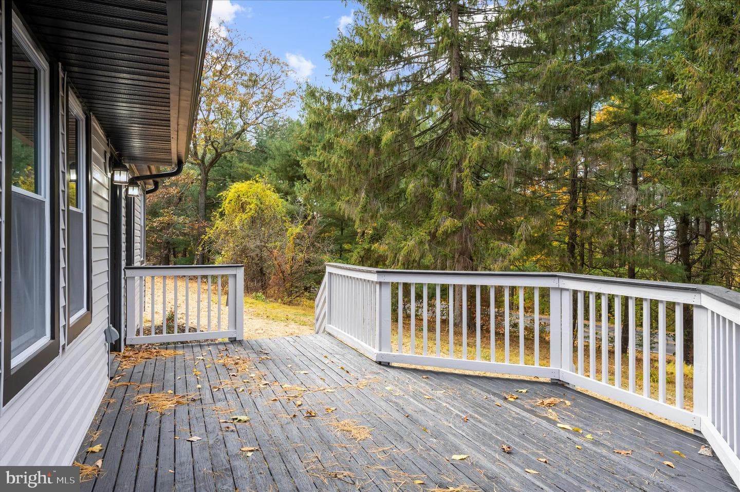 3801 Schalk Road Number 1 photo 28