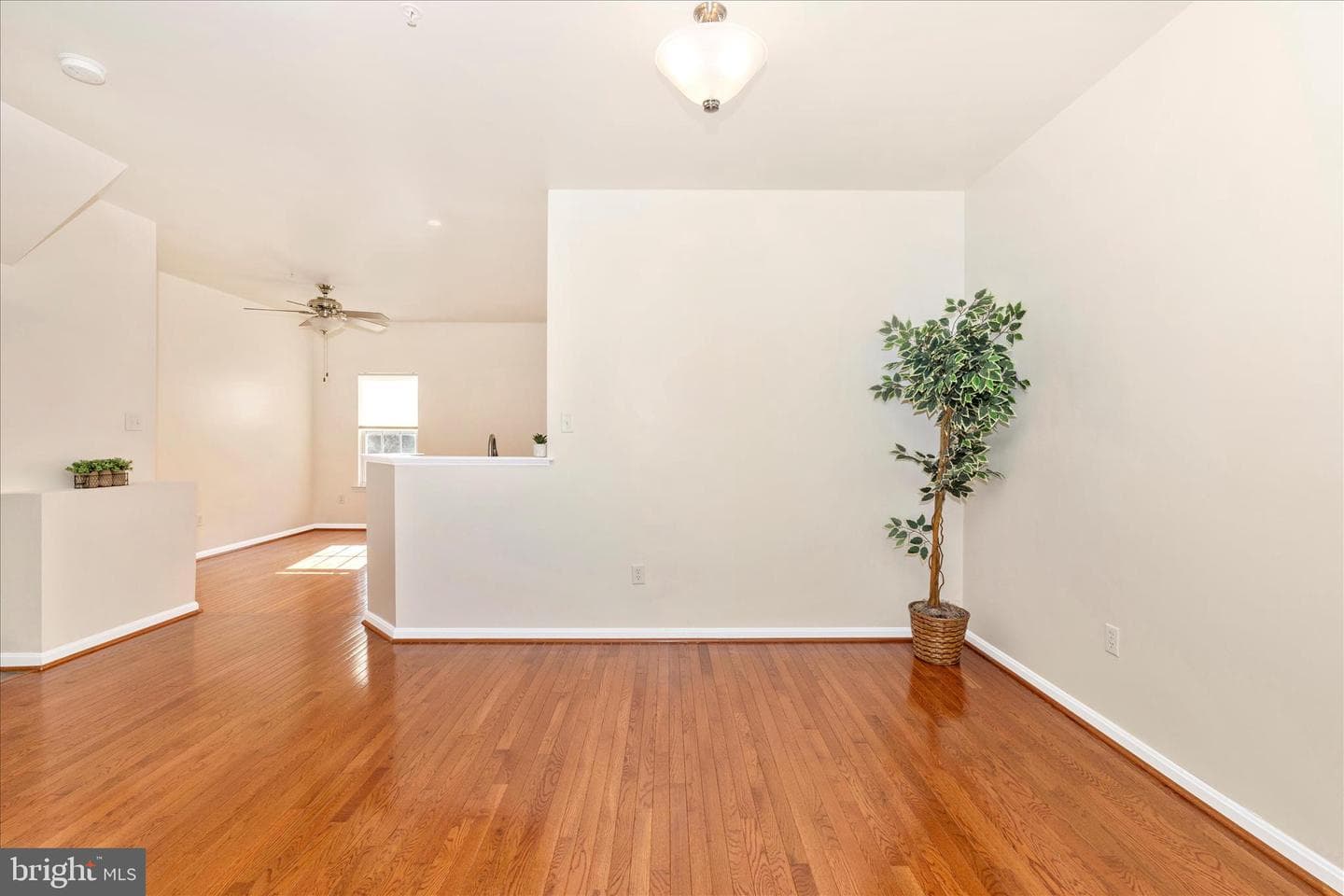 1520 Chessie Court photo 14