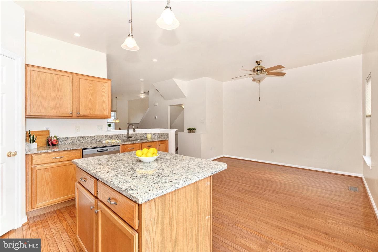 1520 Chessie Court photo 23