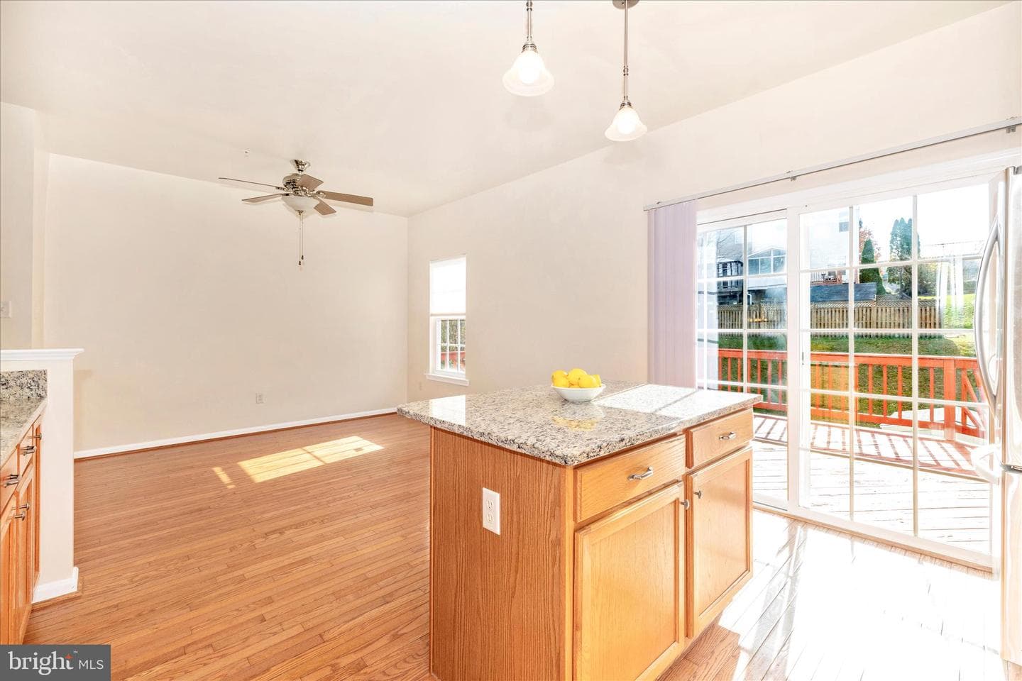 1520 Chessie Court photo 24