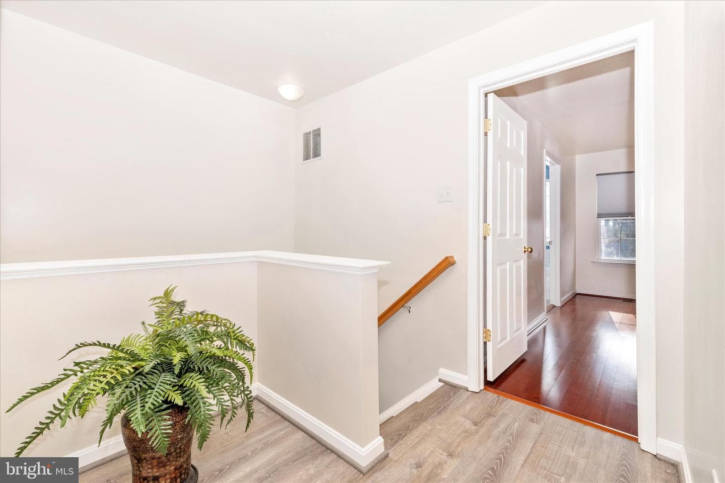 1520 Chessie Court photo 43