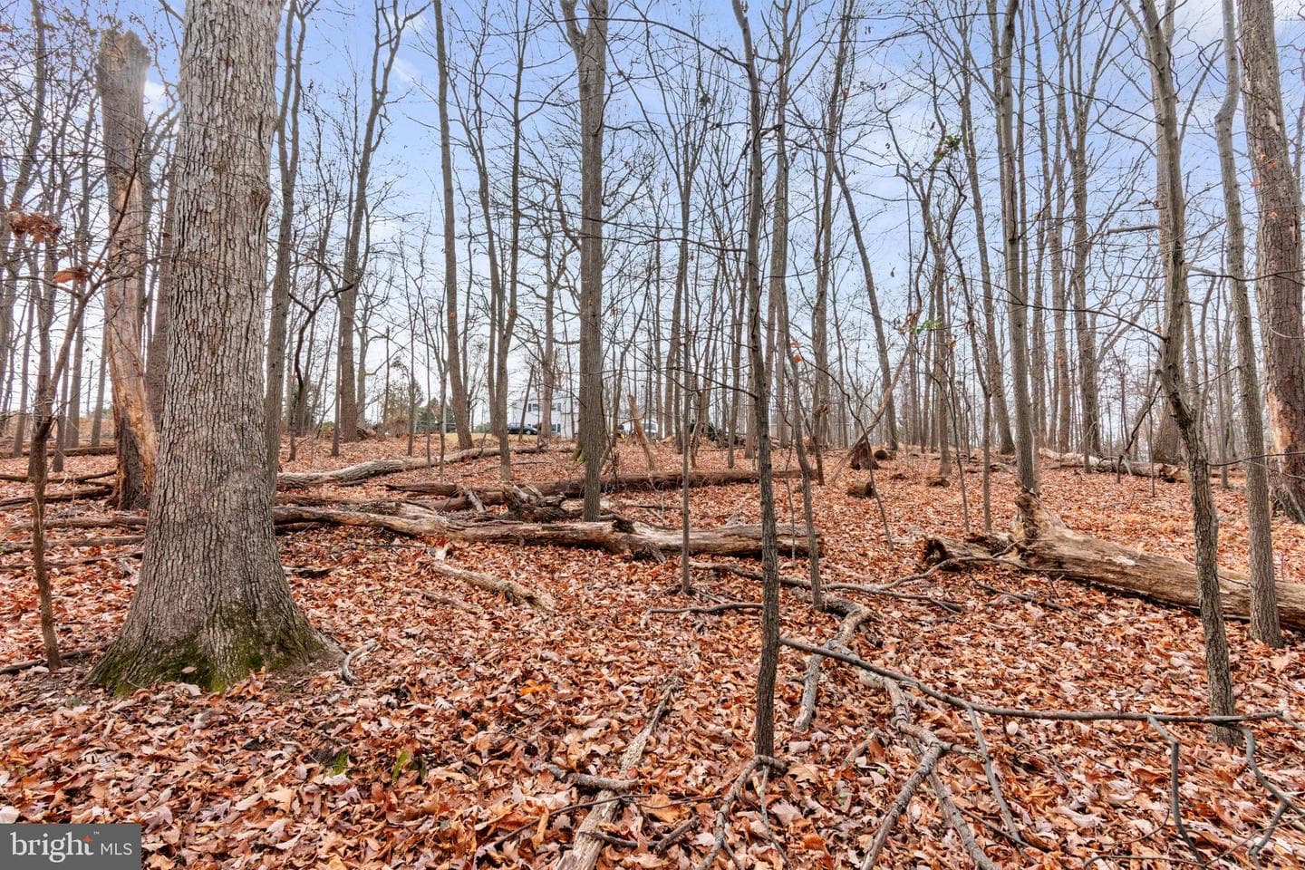 6158 Ridge Road photo 43