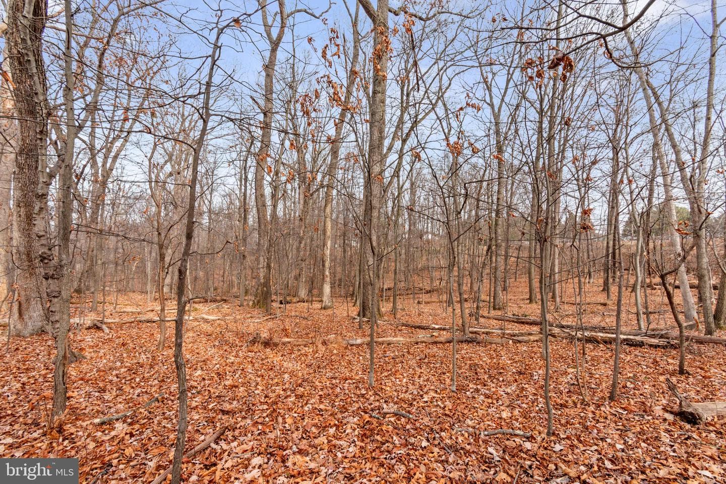 6158 Ridge Road photo 44