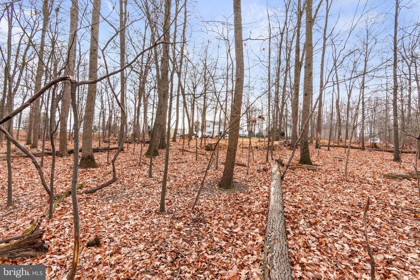 6158 Ridge Road photo 45