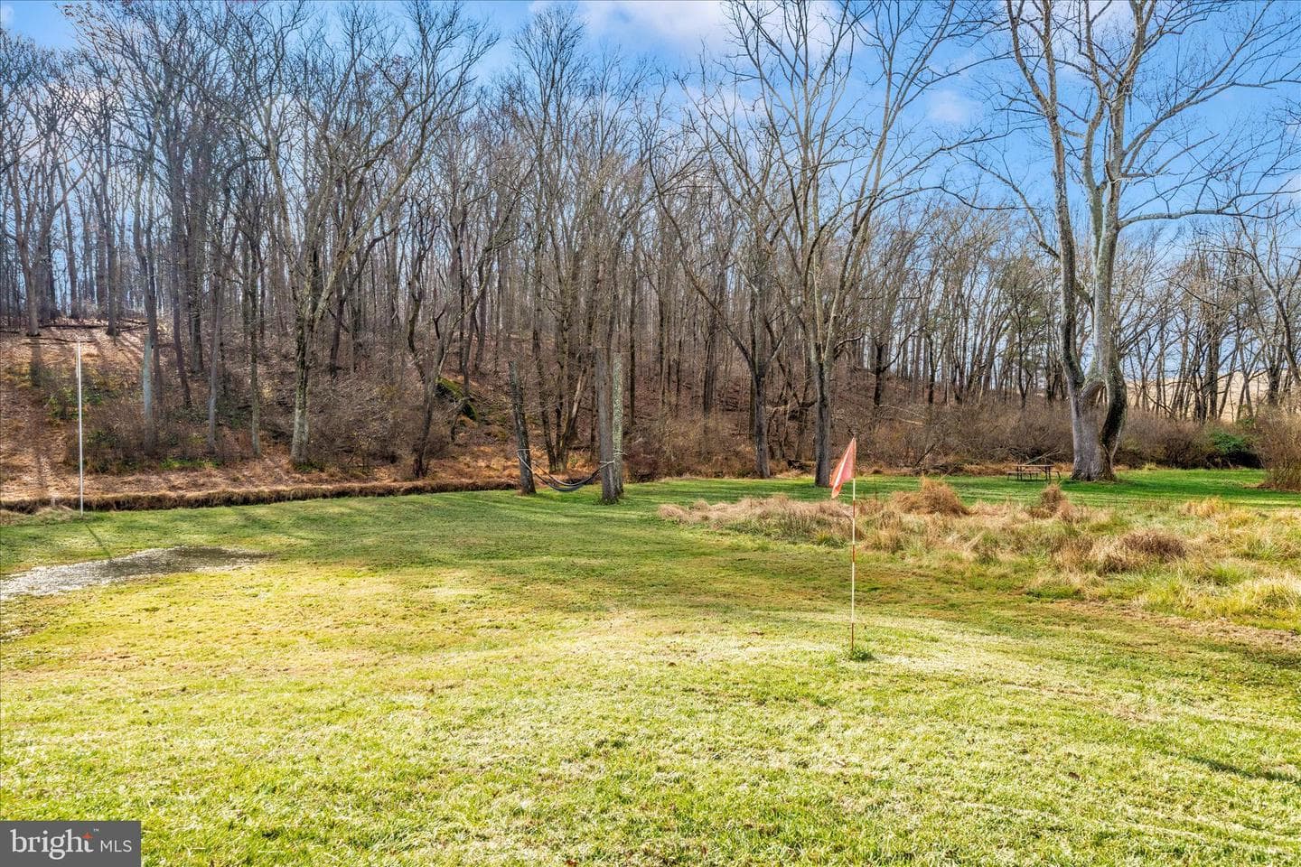 1503 Dulany Road photo 40