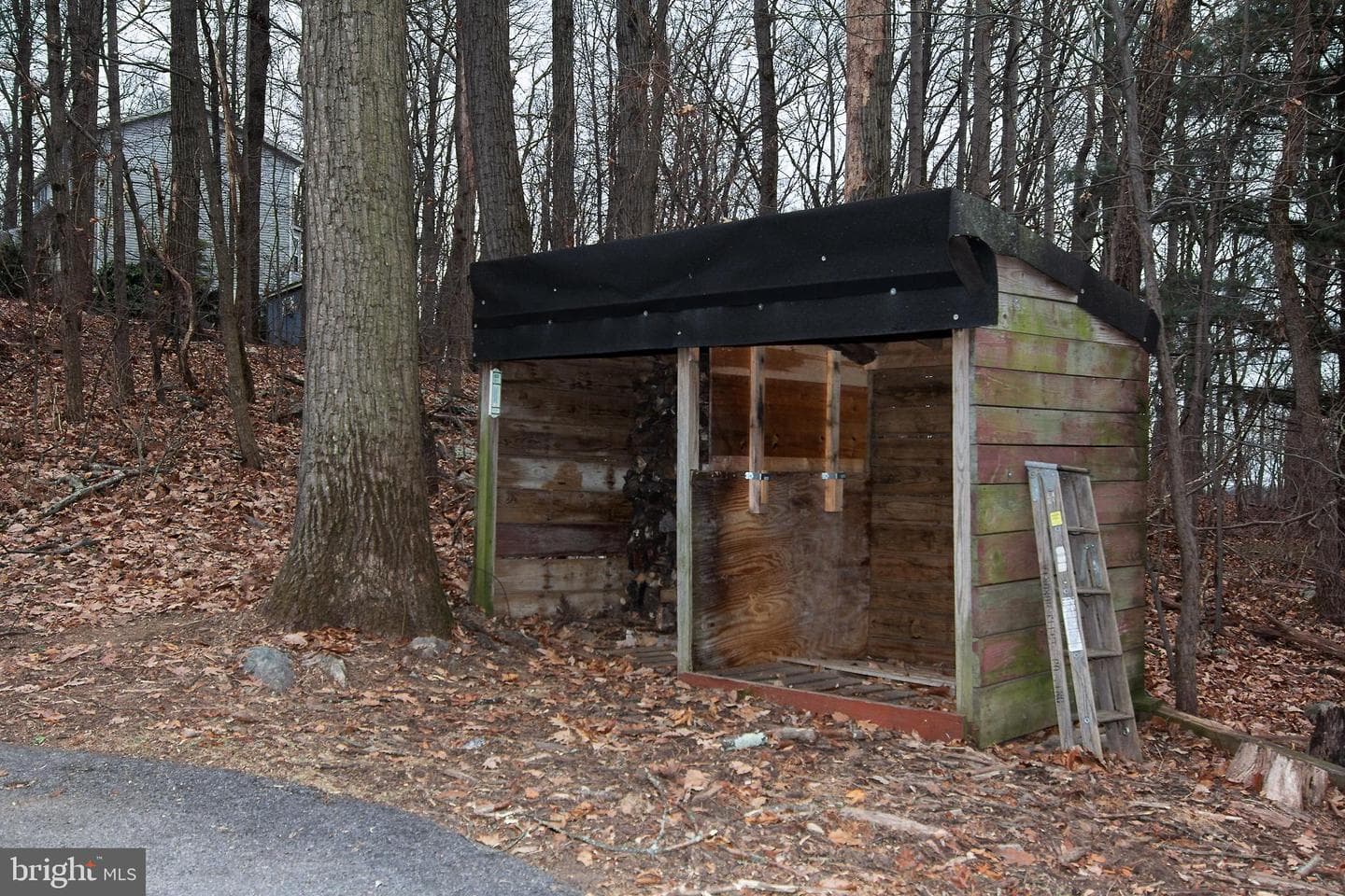 3029 Forest Street photo 43