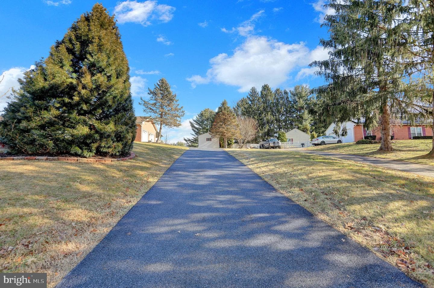 1209 Woodland Court photo 6
