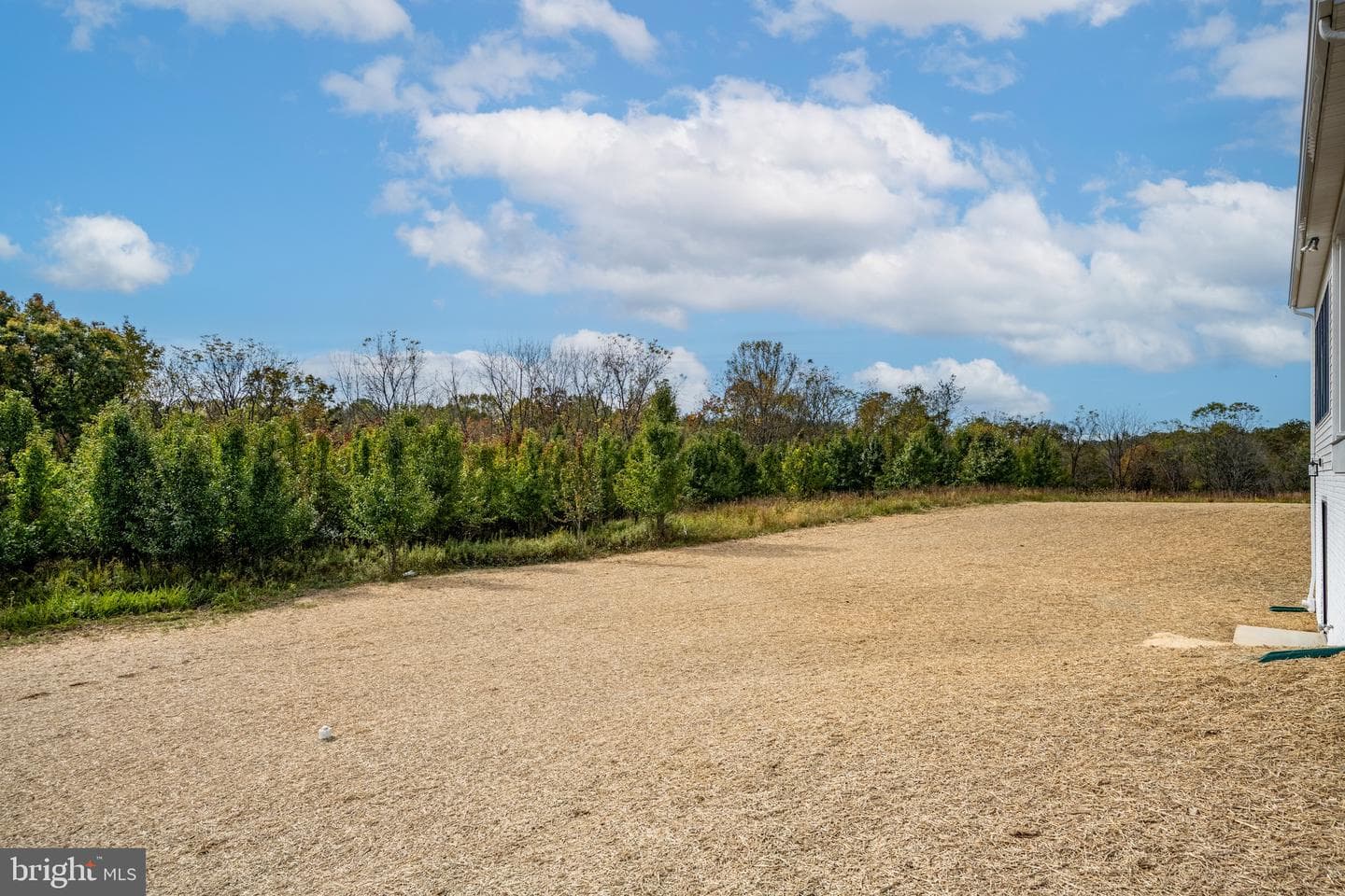 3683 Falling Green Way photo 49