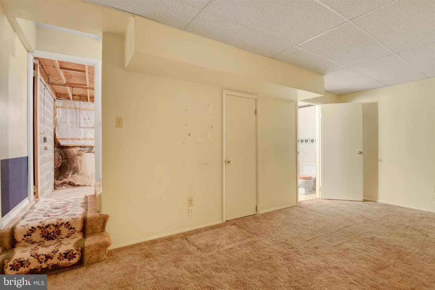 237 Alymer Court photo 13