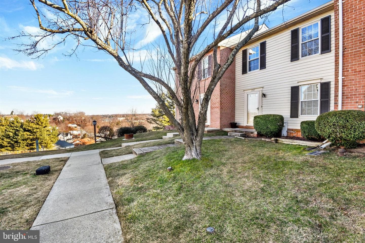 237 Alymer Court photo 22